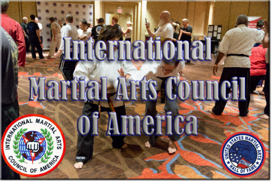 Int'l Martial Arts Council of America